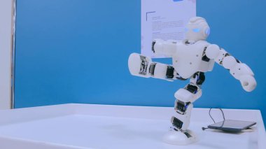 Teknoloji gösterisinde kung fu hareketleri gösteren insansı robot
