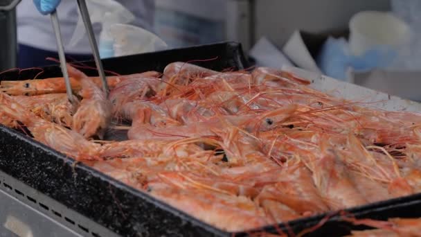 Cámara lenta: chef cocina langoustine rojo fresco a la parrilla en la comida local de verano — Vídeo de stock
