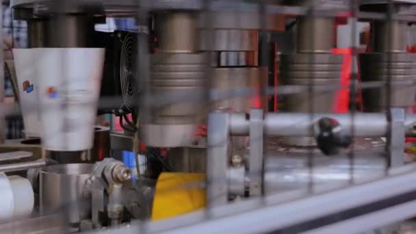 Automatikus ártalmatlanítás kávépapír csésze készítő gép munka közben a kiállításon — Stock videók