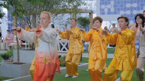 Grupo de personas que hacen ejercicio qigong juntos en la exposición deportiva — Vídeos de Stock