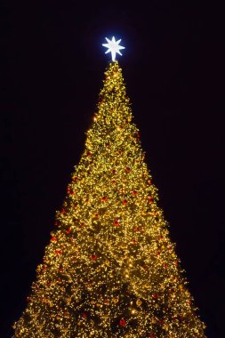 Noel ağacı ve gece çelenk - Yeni yıl konsepti