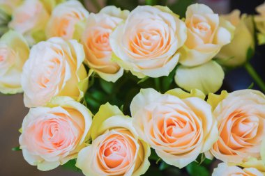 Renkli güzel çiçek buketi - güller - yakın plan