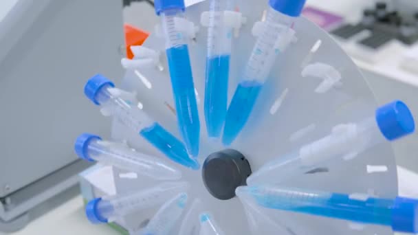 Rotador digital de tubo circular para una mezcla eficaz de muestras biológicas - de cerca — Vídeo de stock