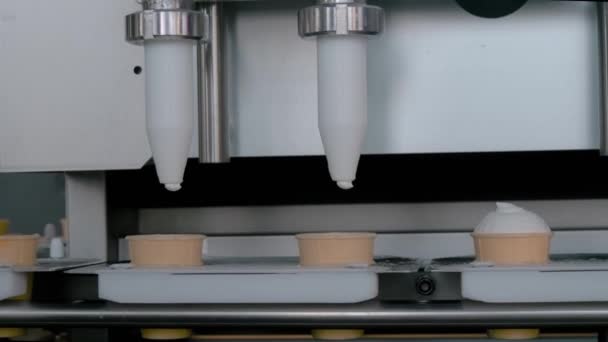 Αυτόματη μηχανή πλήρωσης σε εργοστάσιο παγωτού - close up view — Αρχείο Βίντεο