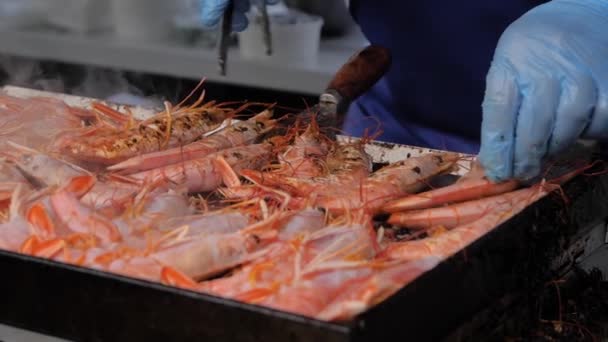 Cámara lenta: chef cocina langoustine rojo fresco a la parrilla en la comida local de verano — Vídeos de Stock