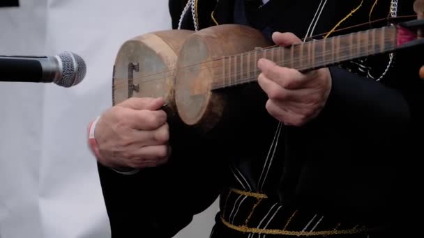 Lambat gerak: tangan laki-laki bermain azerbaijani tar di panggung konser terbuka — Stok Video