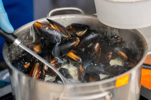 Close up: process of cooking mussels, clams in saucepan - seafood concept — Stock Photo, Image