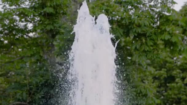 Fontän vattenstråle stänk mot gröna lövverk av träd - slow motion — Stockvideo