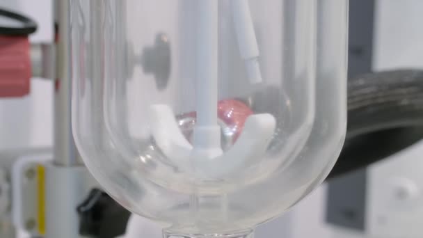Sıvı laboratuvar ekipmanlarını karıştırmak için dijital karıştırıcı — Stok video