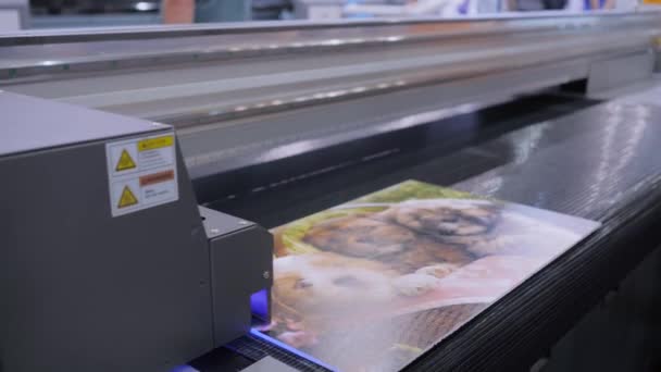 Друк великого формату - ультрафіолетовий цифровий плоский принтер під час роботи в друкарні — стокове відео