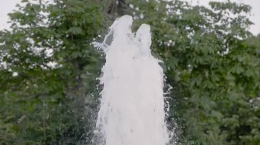 Çeşme suyu jeti ağaçların yeşil yapraklarına çarpıyor - yavaş çekim