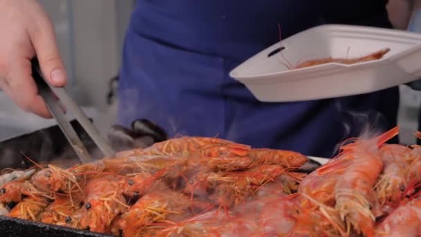 Slow motion: chef cooking fresh red langoustine on grill at summer local food — Stock Video