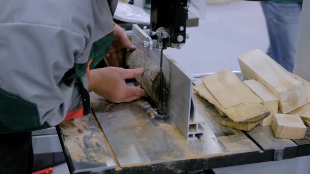 Menuisier à l'aide d'un outil de scie à ruban, coupe de bois à l'atelier - gros plan — Video