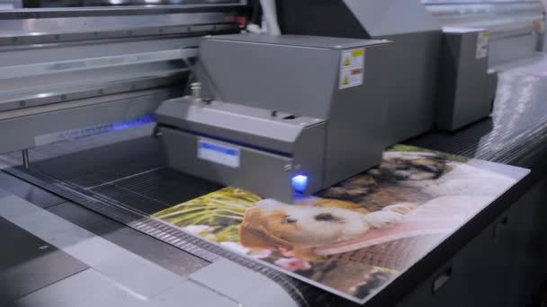 Imprimare în format mare - Imprimantă digitală cu pat plat UV în timpul lucrărilor la tipografie — Videoclip de stoc