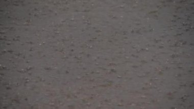 Su birikintisine şiddetli yağmur damlaları düşüyor - sokak seli kavramı