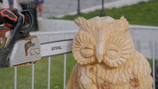 Close up: carpinteiro usando motosserra para esculpir escultura de madeira - câmera lenta — Vídeo de Stock