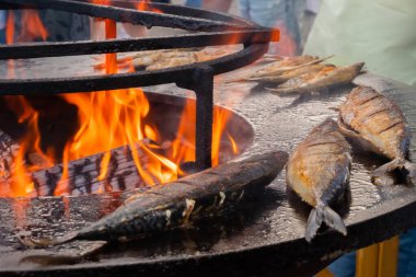 Yemek festivalinde ızgara uskumru ve siyah Brezilya uskumrusu. Kapatın.