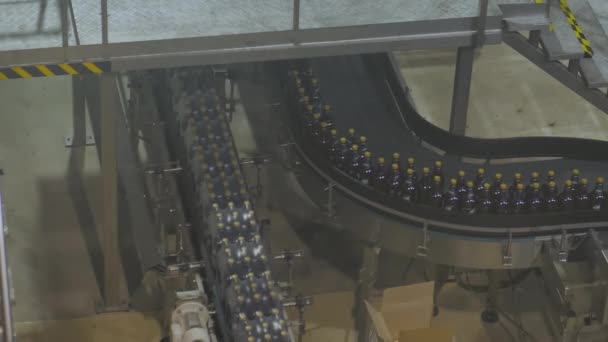 Przenoszenie brązowych plastikowych butelek po piwie na przenośniku taśmowym w browarze — Wideo stockowe