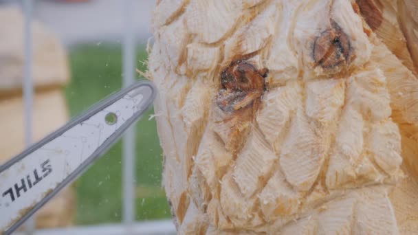 Close up: carpinteiro usando motosserra para esculpir escultura de madeira - câmera lenta — Vídeo de Stock