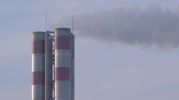 Fabriksrökare som avger rök mot himlen - miljöförstöring — Stockvideo