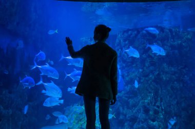 Kadın silueti büyük bir akvaryum tankındaki balıklara bakıyor.