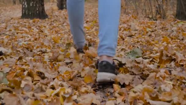 Zeitlupe: Frau läuft mit umgestürzten Blättern auf Straße im Herbstpark — Stockvideo