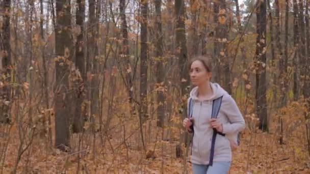 Jonge vrouw met rugzak wandelen in de herfst park - steadicam schot — Stockvideo