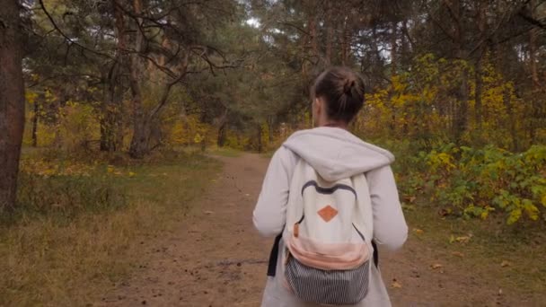 Vista trasera de la mujer joven con mochila caminando en el parque de otoño - steadicam shot — Vídeo de stock
