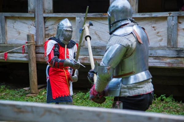 Two medieval knights fighting