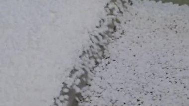 Geri dönüşümlü plastik granüller otomatik şist karıştırıcı, taşıyıcı bant - kapat