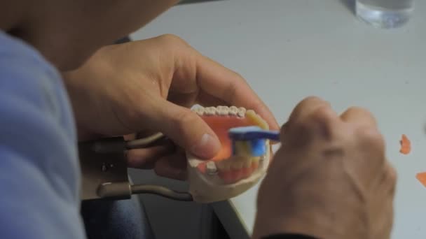Зубной техник, стоматолог, работающий с протезированием зубов - близкий обзор — стоковое видео