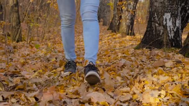 Slow motion: Kvinnliga ben går på väg med fallna löv i höstparken — Stockvideo