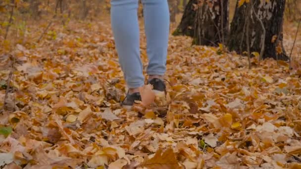 Movimiento lento: piernas de mujer caminando por el camino con hojas caídas en el parque de otoño — Vídeos de Stock