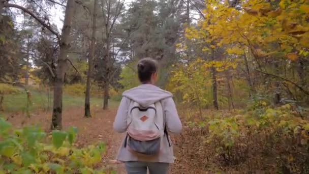 Sırt çantalı genç bir kadının sonbahar parkında yürüyüşünün arka görüntüsü. — Stok video