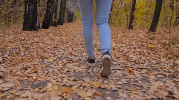 Lambat gerak: wanita kaki berjalan di jalan dengan daun jatuh di musim gugur taman — Stok Video