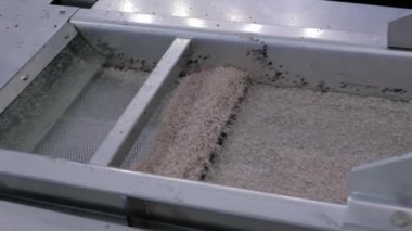 Otomatik taşıma bandında geri dönüştürülmüş plastik granüller, şist sallayıcı