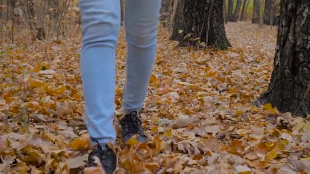 Wolny ruch: nogi kobiety chodzącej po drodze z opadniętymi liśćmi w jesiennym parku — Wideo stockowe