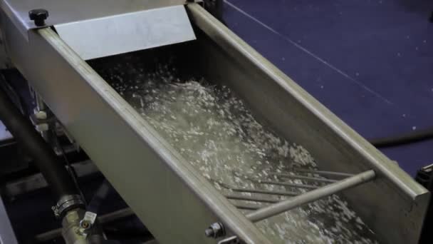プラスチックリサイクル機-再生プラスチック顆粒、ペレットと水の流れ — ストック動画