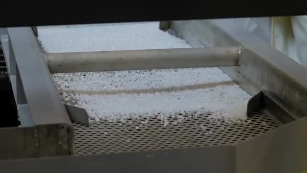 Bílé recyklované plastové granule na automatickém třepání břidlic, dopravníkový pás — Stock video