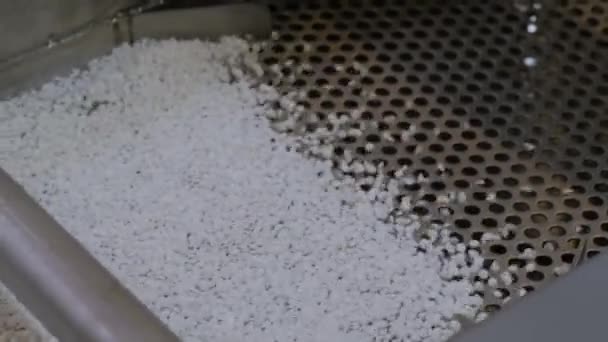 Grânulos de plástico reciclado em shale shaker automático, correia transportadora - close-up — Vídeo de Stock