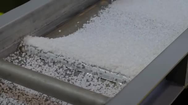 Recyklované plastové granule na automatickém pásovém dopravníku, břidlicová třepačka — Stock video