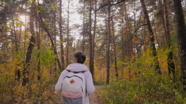 Frau mit Rucksack spaziert im Herbstpark - Steadicam-Aufnahme, Sonnenbrille aufgefackelt — Stockvideo