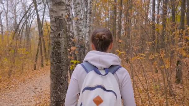 Tampilan belakang wanita muda dengan ransel berjalan di taman musim gugur - tembakan steadicam — Stok Video