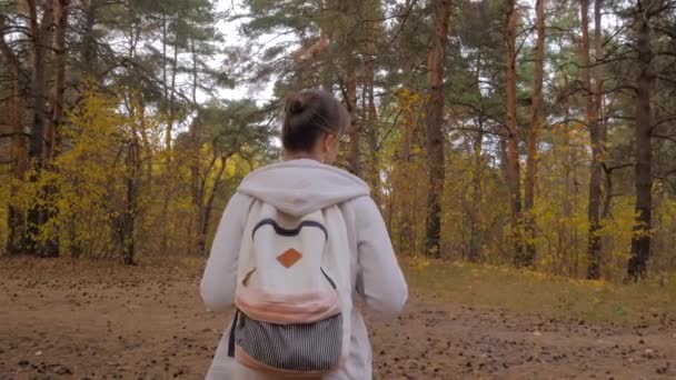 Visão traseira da jovem com mochila andando no parque de outono - steadicam tiro — Vídeo de Stock