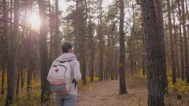 Nő hátizsák séta őszi parkban - steadicam lövés, napszemüveg fáklyák — Stock videók