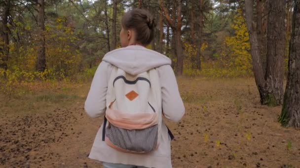 Achteraanzicht van jonge vrouw met rugzak wandelen in de herfst park - steadicam schot — Stockvideo