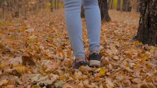 Повільний рух: жіночі ноги ходять по дорозі з опалим листям в осінньому парку — стокове відео