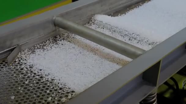 Recyklované plastové granule na automatickém pásovém dopravníku, břidlicová třepačka — Stock video