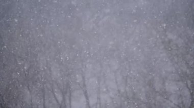 Yavaş çekim - kar yağıyor: büyük ve küçük kar taneleri