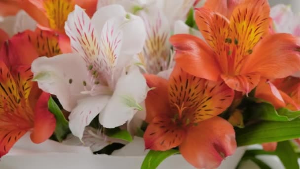 Ramo de flores de alstroemeria anaranjadas y blancas sobre superficie giratoria: primer plano — Vídeos de Stock